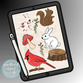 Woodland Animals Clip Art Bundle PNG