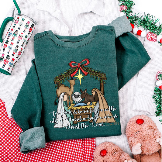 Nativity Scene Luke 2:11 Digital Design