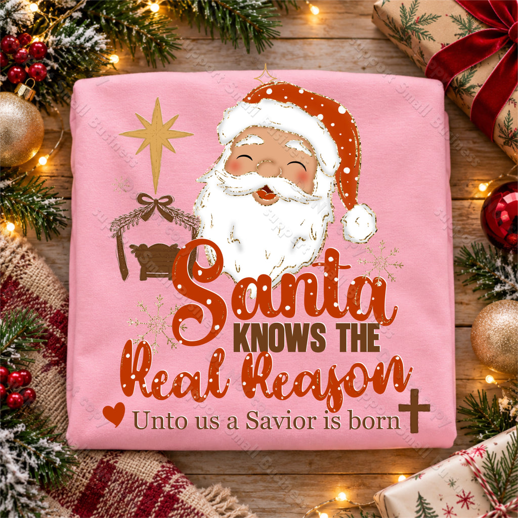 Santa Knows The Real Reason PNG