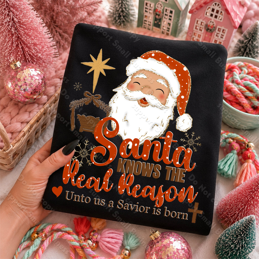 Santa Knows The Real Reason PNG